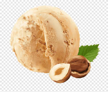 بندق